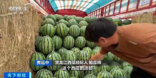 山工艺吃瓜,揭秘校园美食背后的故事