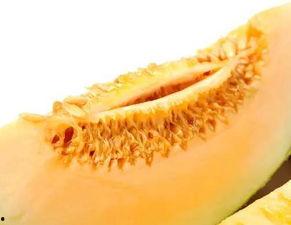 楼兰蜜瓜怎样吃,尽享夏日甜蜜时光