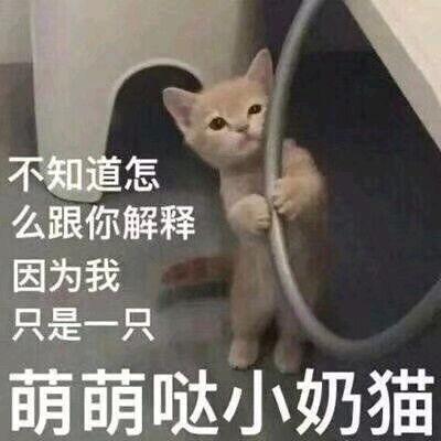 老四吃瓜,揭秘娱乐圈背后的那些事儿