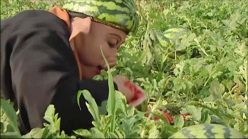 盘锦初中老师吃瓜,校园生活的一抹趣味色彩