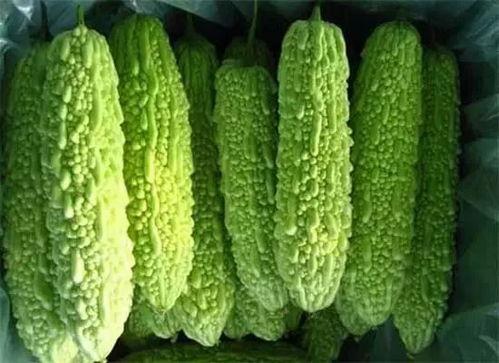 南宁吃瓜事件全部,一场网络热议背后的真相与反思