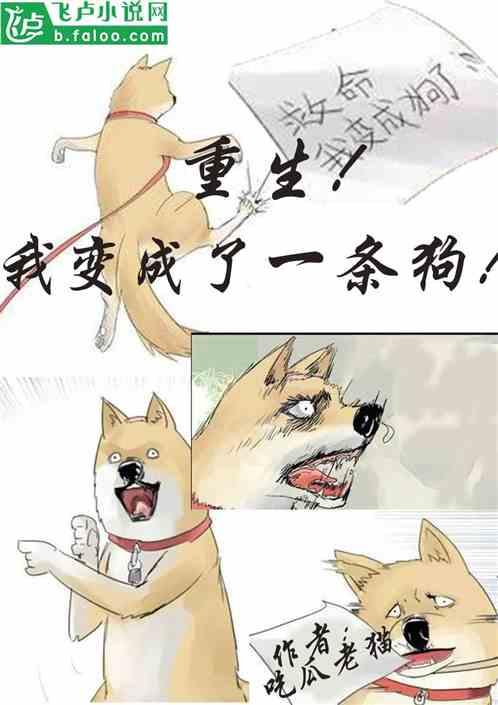 吃瓜升值小说,从吃瓜小白到小说界的升值传奇