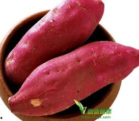 经期可以吃生土瓜,巧用生土瓜助力健康调理