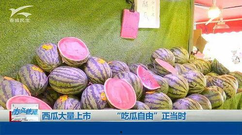 广东吃瓜自由,畅享“吃瓜自由”,品味多元美食文化