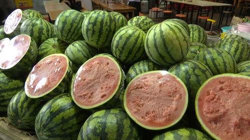 广东吃瓜自由,畅享“吃瓜自由”,品味多元美食文化