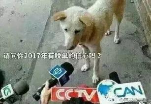 卧槽吃瓜视频大全,揭秘娱乐圈幕后真相