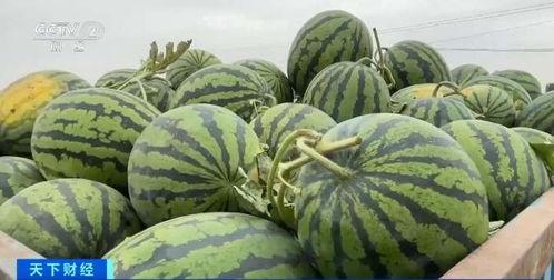 71吃瓜网,揭秘娱乐圈最新热点,带你领略明星幕后故事