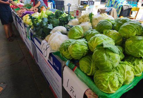 摆摊吃瓜赚钱吗,揭秘街头小吃的盈利之道