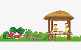 瓜田吃瓜动画全集,动画全集的甜蜜诱惑与欢乐时光